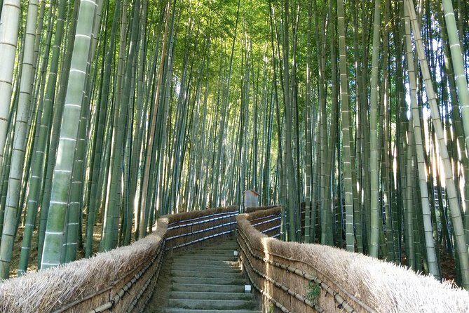 Private Highlights of Kyoto Tour - Entering Kyoto fast from Hotel Granvia and Kyoto Station