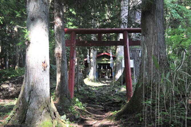 Private Hiking Tour to View Mt. Fuji - Weather Rules: When Mt. Fuji Is Visible, It’s Worth It