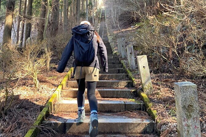 Private Hiking Tour to View Mt. Fuji - Should You Book This Private Mt. Fuji Hiking Tour?