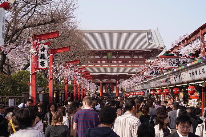 Private Japanese Sample Food Making and Asakusa History Tour - Who this tour fits best (and who might want a different plan)