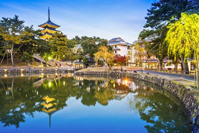 Private Journey in Nara’s Historical Wonder - How this private Nara day works from Osaka