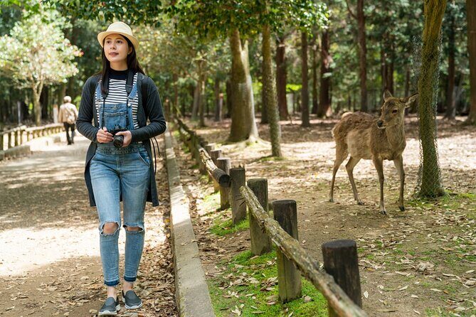 Private Journey in Nara’s Historical Wonder - Kasuga Taisha lanterns: one hour to slow your eyes down