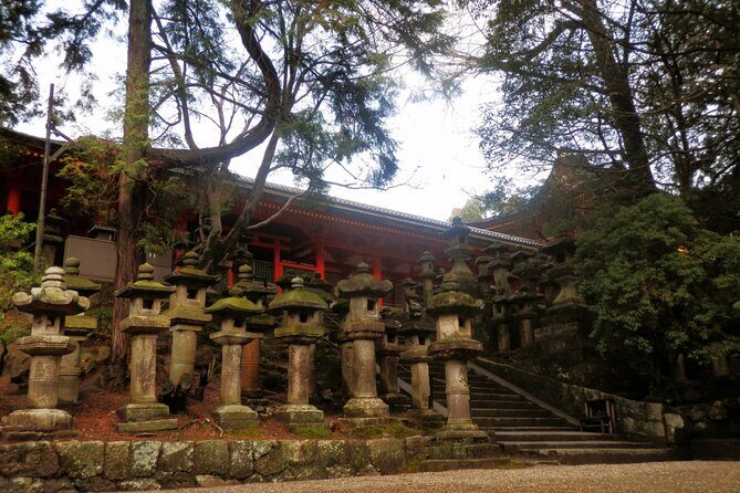 Private Journey in Nara’s Historical Wonder - Horyu-ji and UNESCO-level wood history