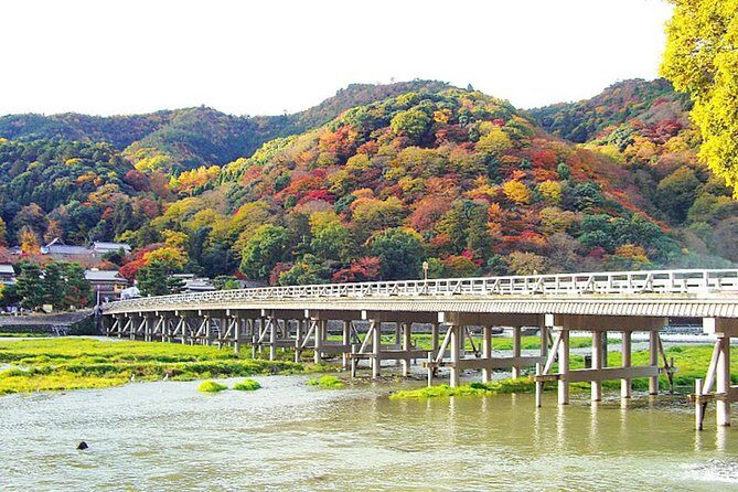 Private Kyoto Arashiyama Custom Half-Day Tour by Chartered Vehicle - Guides and drivers: the difference between seeing and understanding