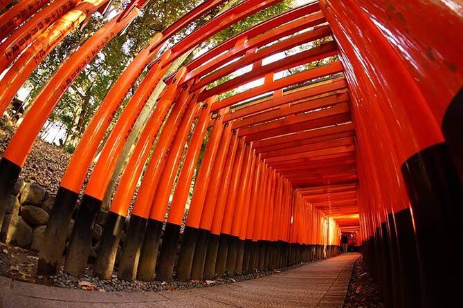 Private Kyoto Custom One Day Tour by Chartered Vehicle - A private Kyoto day that actually feels like a day