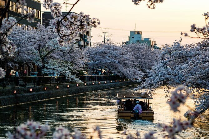 Private Kyoto Customizable Day Tour with English Speaking Driver - Pickup, timing, and staying on track