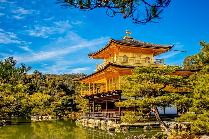 Private Kyoto Customizable Day Tour with Guide and Vehicle - Kinkaku-ji’s Golden Pavilion: one hour that focuses your eyes