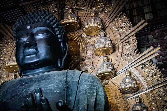 Private Kyoto Tour by Car with Optional Nara or Osaka Add-Ons - Value check: $175 per person and how the math really works