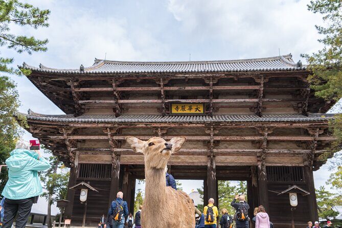 Private Kyoto Tour by Car with Optional Nara or Osaka Add-Ons - The core Kyoto day: torii, bamboo, temples, and market time