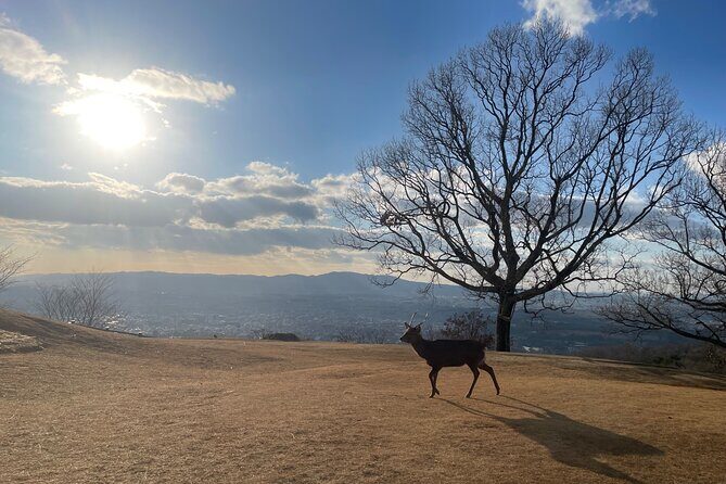 Private Kyoto Tour: Explore the Most Iconic Sights - Kinkaku-ji Golden Pavilion: Where the Day Starts Strong