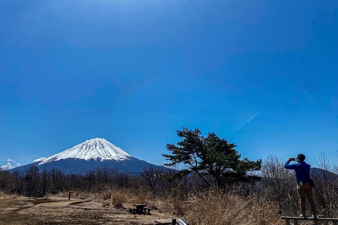 Private Local Hiking to enjoy the nature and culture of Mt.Fuji - The Hiking Game Plan: Moderate, Not a Grind