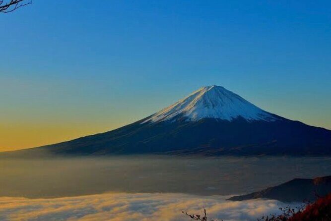 Private Mount Fuji and Hakone City Tour In luxury car from Tokyo - Fuji Safari Park: When the Day Turns Fun and Different