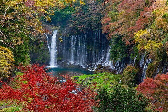 Private Mount Fuji and Hakone City Tour In luxury car from Tokyo - Driving Style, Timing, and What the Full Day Feels Like
