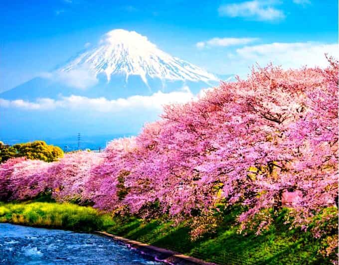 Private Mount Fuji sightseeing Day trip with English Guide - Oshino Hakkai: Waterfalls, Ponds, and a More Local Fuji Side