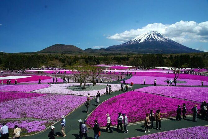 Private Mount Fuji Tour in Luxury Vehicle with English Guide - A Private Mount Fuji Day From Shibuya That Feels Like Control