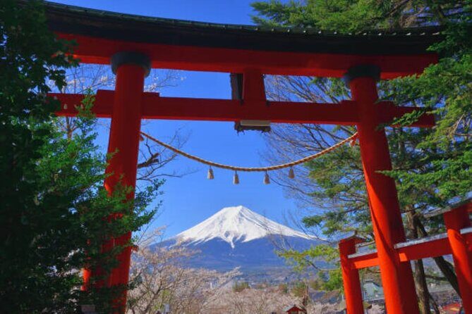 Private Mount Fuji Tour in Luxury Vehicle with English Guide - Subaru Line 5th Station: Your Closest Car-Accessible Fuji Moment
