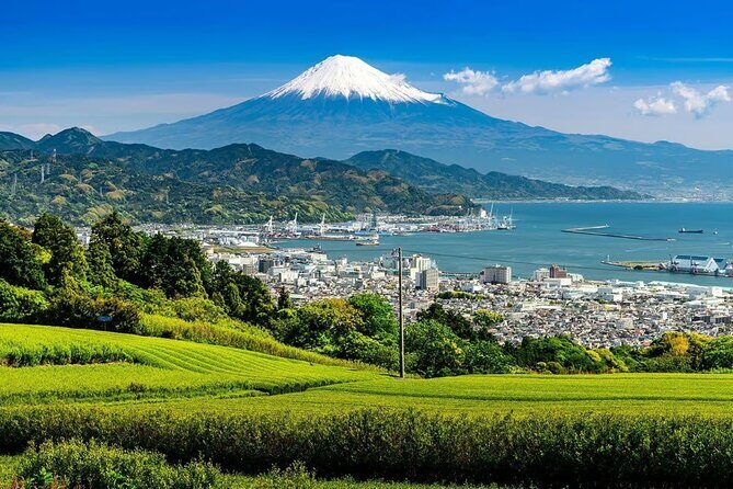 Private Mount Fuji Tour in Luxury Vehicle with English Guide - Lake Kawaguchiko: The Fuji Five Lakes Gateway