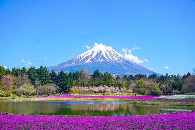 Private Mount Fuji Tours with Car Pickup from Tokyo - Key points to know before you go