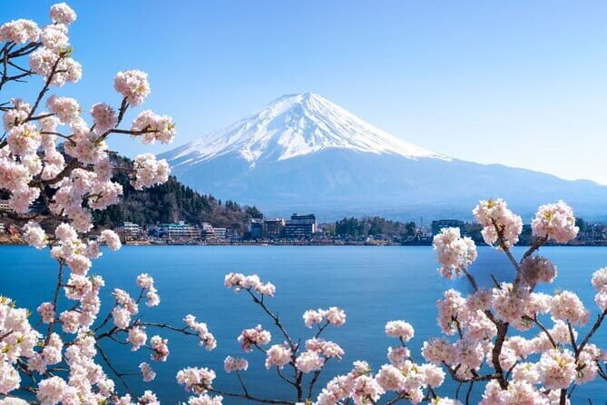 Private Mount Fuji Tours with Car Pickup from Tokyo - Oshino Hakkai: eight ponds fed by Fuji’s meltwater