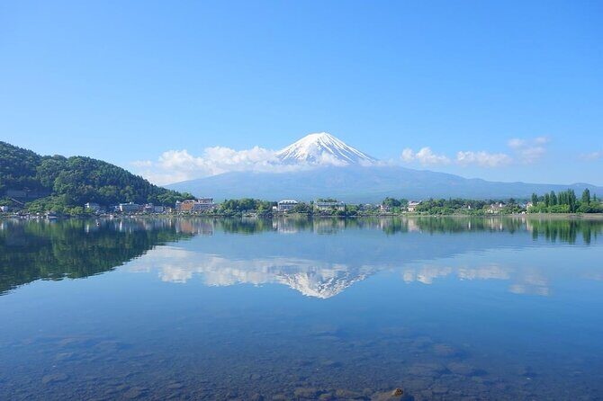Private Mt. Fuji Custom Tour from Tokyo - Who this tour is best for (and who should think twice)
