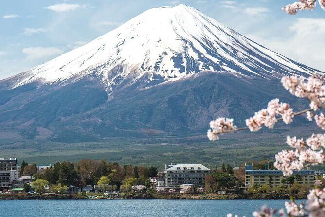 Private Mt. Fuji Custom Tour from Tokyo - Price and value: what you’re actually paying for