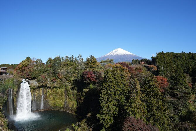 Private Mt. Fuji Day Trip from Tokyo with English-Speaking Driver - Oishi Park: seasonal color with Fuji-focused timing