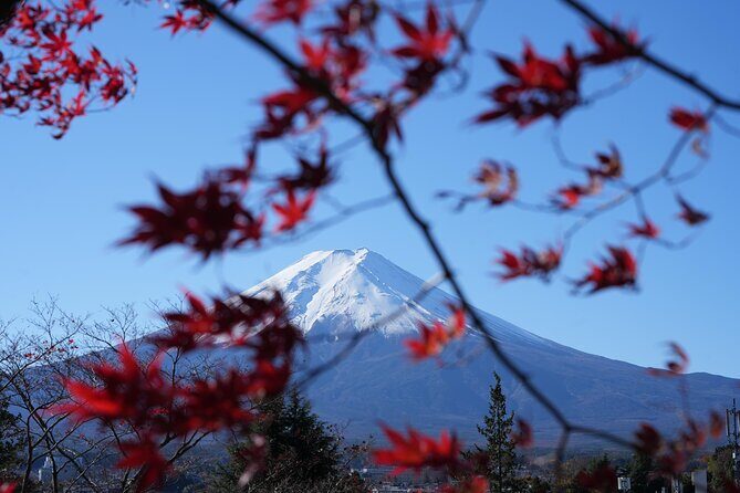 Private Mt. Fuji Day Trip from Tokyo with English-Speaking Driver - Nenba Village (Saiko Iyashi no Sato Nenba) adds a quieter Fuji feeling