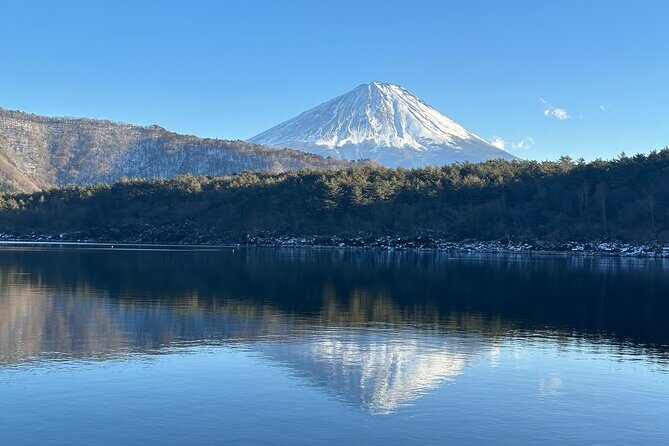 Private Mt. Fuji Day Trip from Tokyo with English-Speaking Driver - Mt. Fuji 5th Station: the altitude stop you should plan for