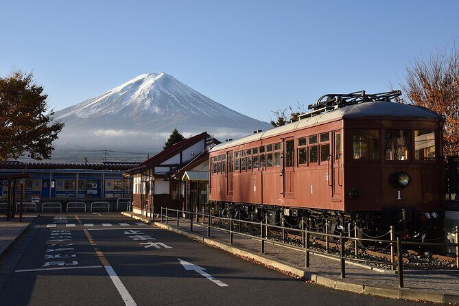 Private Mt Fuji, Hakone and Tokyo Tour - English Speaking Driver - Money and Value: Is $750 Per Group Actually Fair?