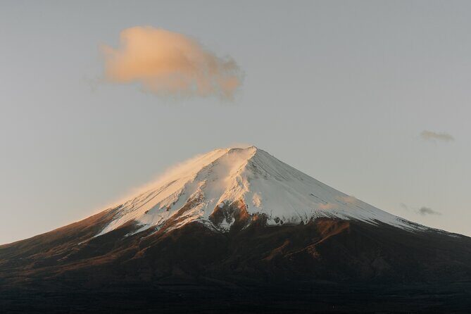 Private Mt Fuji, Hakone and Tokyo Tour - English Speaking Driver - Timing Tips You’ll Thank Yourself For