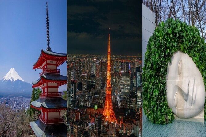 Private Mt Fuji, Hakone and Tokyo Tour - English Speaking Driver - Who Should Book This Tour (and Who Should Skip It)
