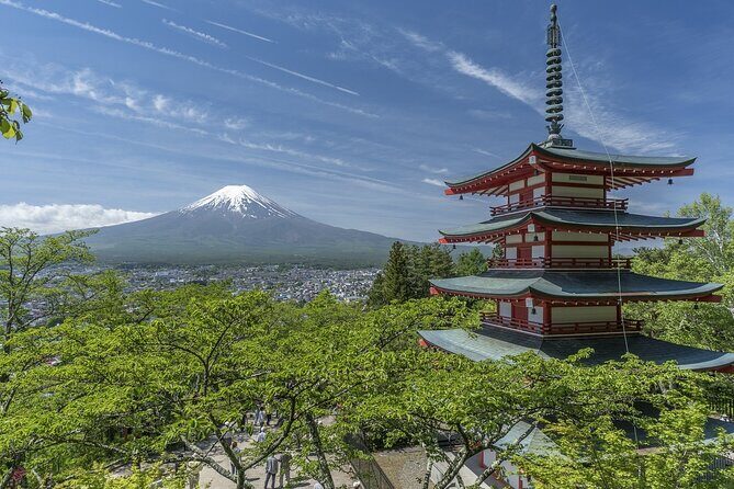 Private Mt Fuji, Hakone and Tokyo Tour - English Speaking Driver - Should You Book This Private Mt. Fuji, Hakone and Tokyo Tour?