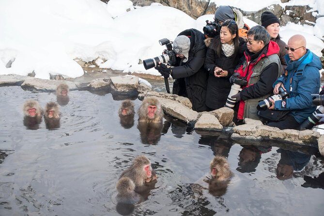 Private Nagano 1-Day Tour:Snow Monkeys,Zenko-ji,Obuse,Sake,Onsen - Stop 2: Zenko-ji Temple and why Nagano grew around it