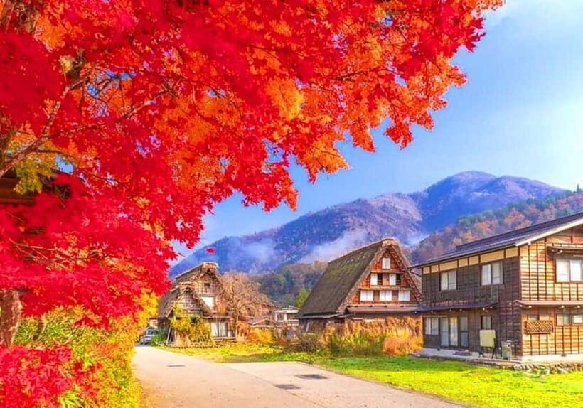 Private Nagoya & Shirakawa-go w/ English Driver - Shirakawa-go: UNESCO time at your pace, with sunset light on the schedule