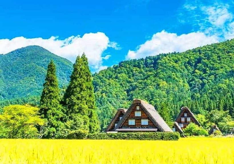 Private Nagoya & Shirakawa-go w/ English Driver - Time and transport: the long ride segments can make or break the day