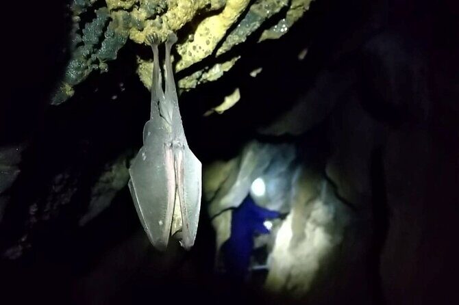 Private Ninja Training in a Cave in Hidaka - The Comfort Factor After Caving: Coffee, Black Tea, and Snacks
