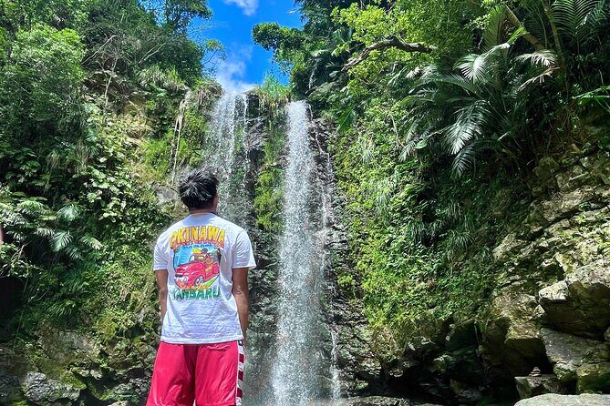 Private Okinawa Tour - 7 hours Pickup from anywhere in Okinawa - Key Highlights You’ll Care About