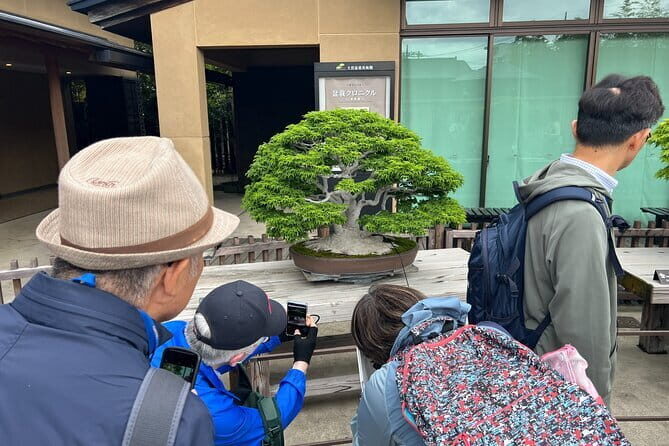Private Omiya Bonsai Village Tour with Licensed Guide - Getting from Tokyo: the round-trip timing that keeps it sane