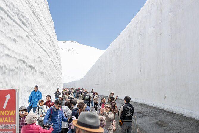 Private One-Day Everything Tour in Nagano or Matsumoto - What your one-day Nagano or Matsumoto tour is really buying