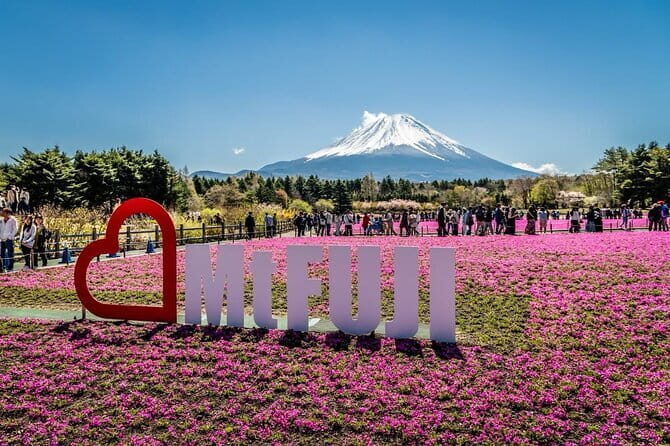 Private One Way Tokyo Hotel Transfer to Yokohama Port - Baggage Allowance: The Real Reason This Works for Cruise Days