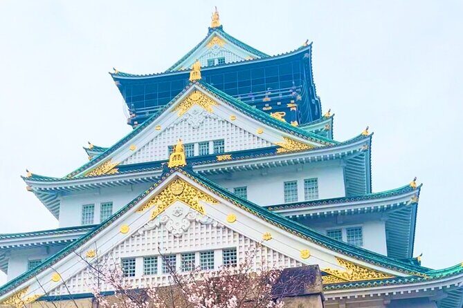 Private Osaka City Tour: Fusion of Tradition and Modernity - Shinsaibashi-suji and Dotonbori: shopping lanes plus street snacks