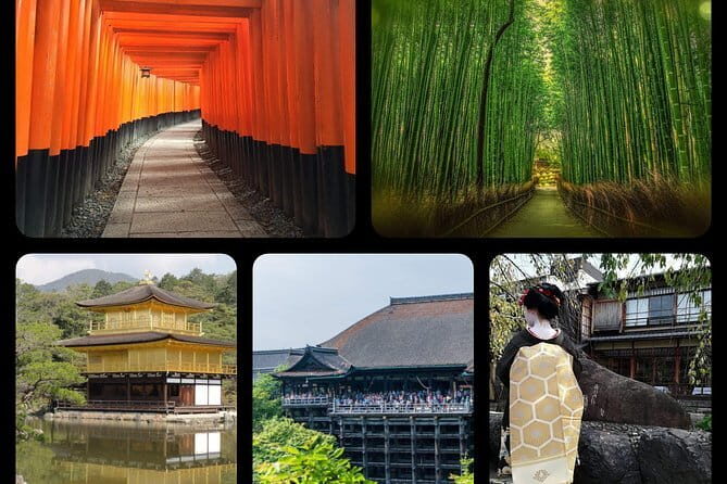 Private Osaka Tour from Kyoto with guide by public transportation - Osaka Castle: History, Views, and Why the Grounds Matter