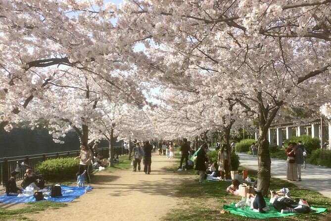Private Osaka Tour with Hotel Meet Up - Key things to know before you go