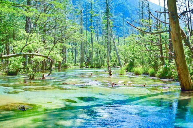 Private Shinhotaka Ropeway and Kamikochi Tour - Timing and flow: how a 9-hour day feels in real life