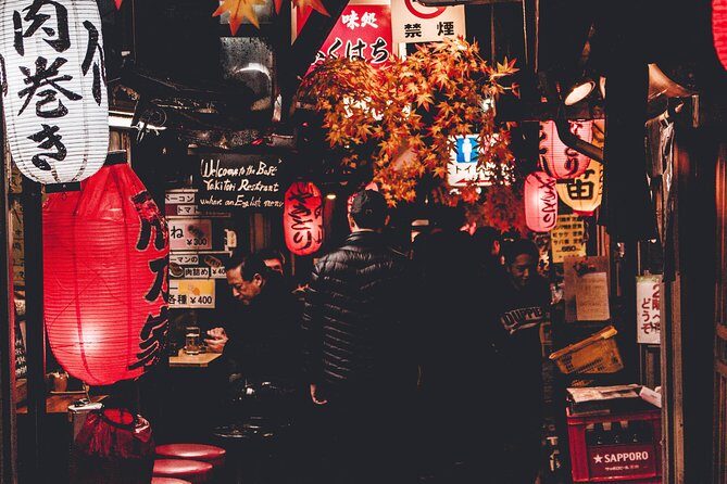 Private Shinjuku Nightlife Walking Tour & Golden-Gai Bar Crawl - Golden Gai and Omoide Yokocho: What This Night Walk Really Shows You