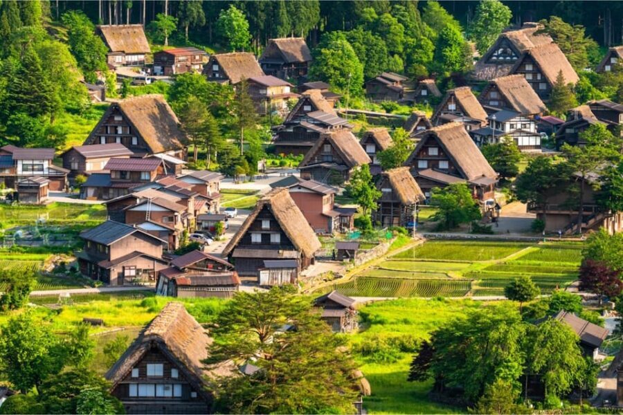 Private Shirakawago & Takayama Tour with Pickup and Drop-off - Logistics, Comfort, and What to Pack for a 10-Hour Day