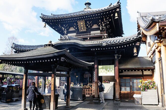 Private Shore Excursion Kobe Port - Best of Osaka with a local - Kobe Start, Osaka Focus: Why This Private Format Works