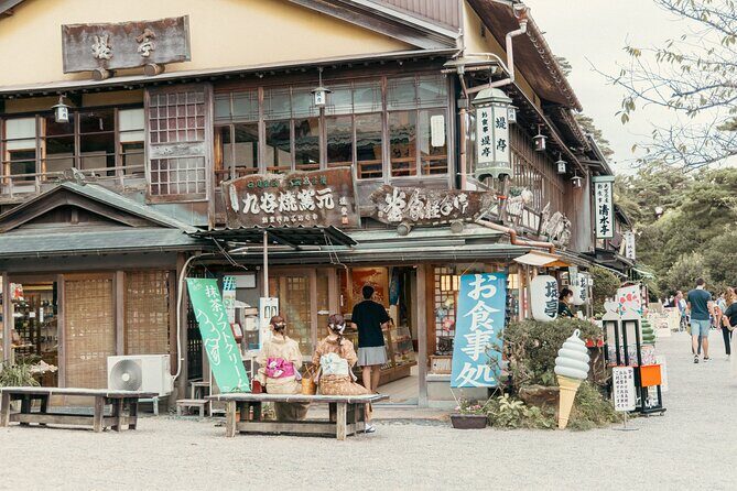 Private Sightseeing Tour from Kanazawa Port / Private Vehicle - Higashi Chaya District Walk: Geisha Streets at Real-Everyday Speed