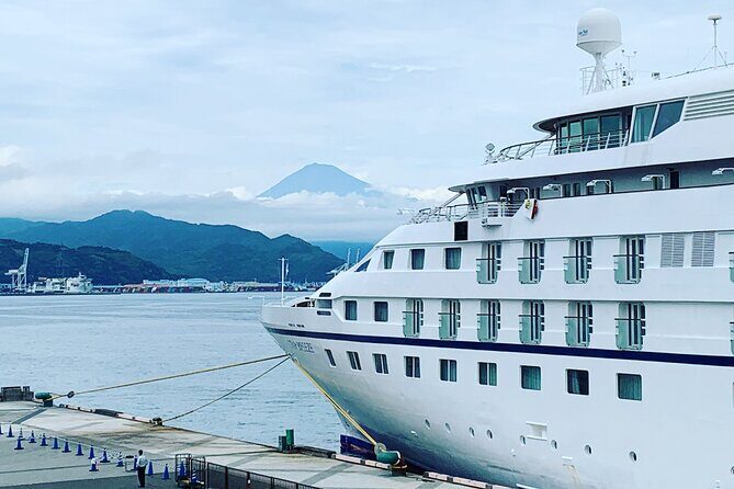 Private Sightseeing Tour from Shimizu Port / Sedan Taxi - Key Highlights If You Want This Style Of Day