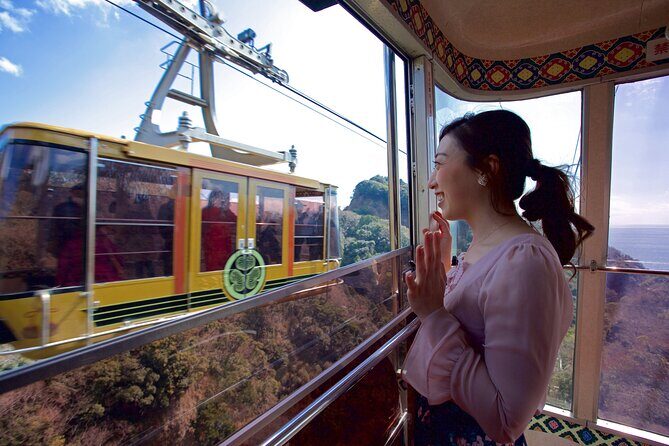Private Sightseeing Tour from Shimizu Port / Sedan Taxi - Shimizu Port Start: Tight Schedule, Zero Guesswork